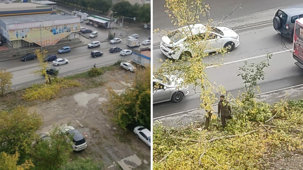 Пилят деревья в месте, где хотели сделать сквер героев СВО в Новосибирске