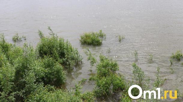 В Омске утонули четверо детей