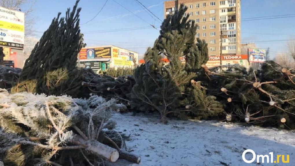 Омичам рассказали, где в городе будут организованы ёлочные базары