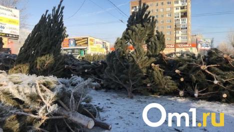 Омичам рассказали, где в городе будут организованы ёлочные базары