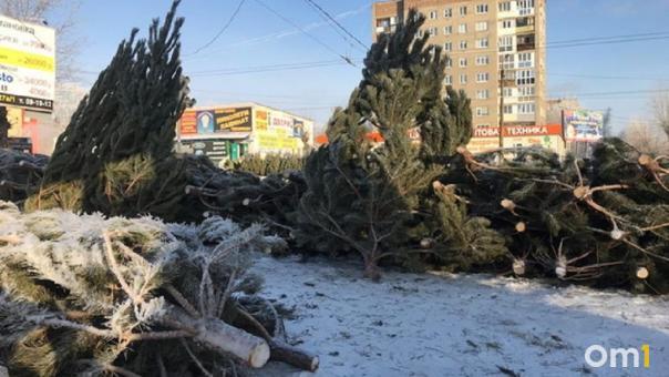 Омичам рассказали, где в городе будут организованы ёлочные базары