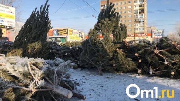 Омичам рассказали, где в городе будут организованы ёлочные базары