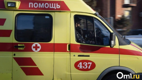 В Омской области водитель сбил девочку, которая внезапно появилась на дороге