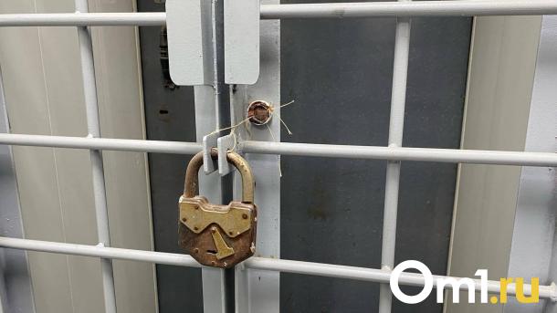 В Омской области молодого парня будут судить за убийство из ревности