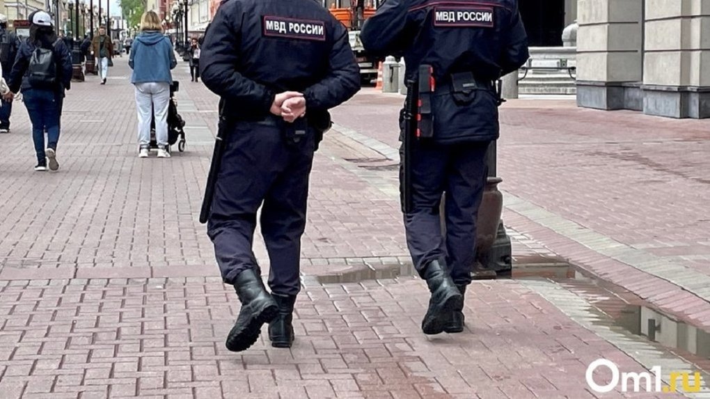 В Омске разыскивают двух мужчин, совершивших преступление против личности
