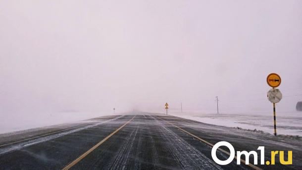 Сильный ветер и метель продолжатся в Новосибирске 23 января