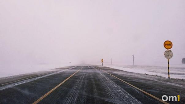 Из-за ДТП с лосями пострадали жители Кузбасса