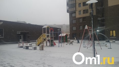 Назван день, когда окончательно ляжет снег в Новосибирской области