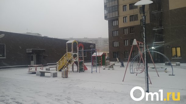 Назван день, когда окончательно ляжет снег в Новосибирской области