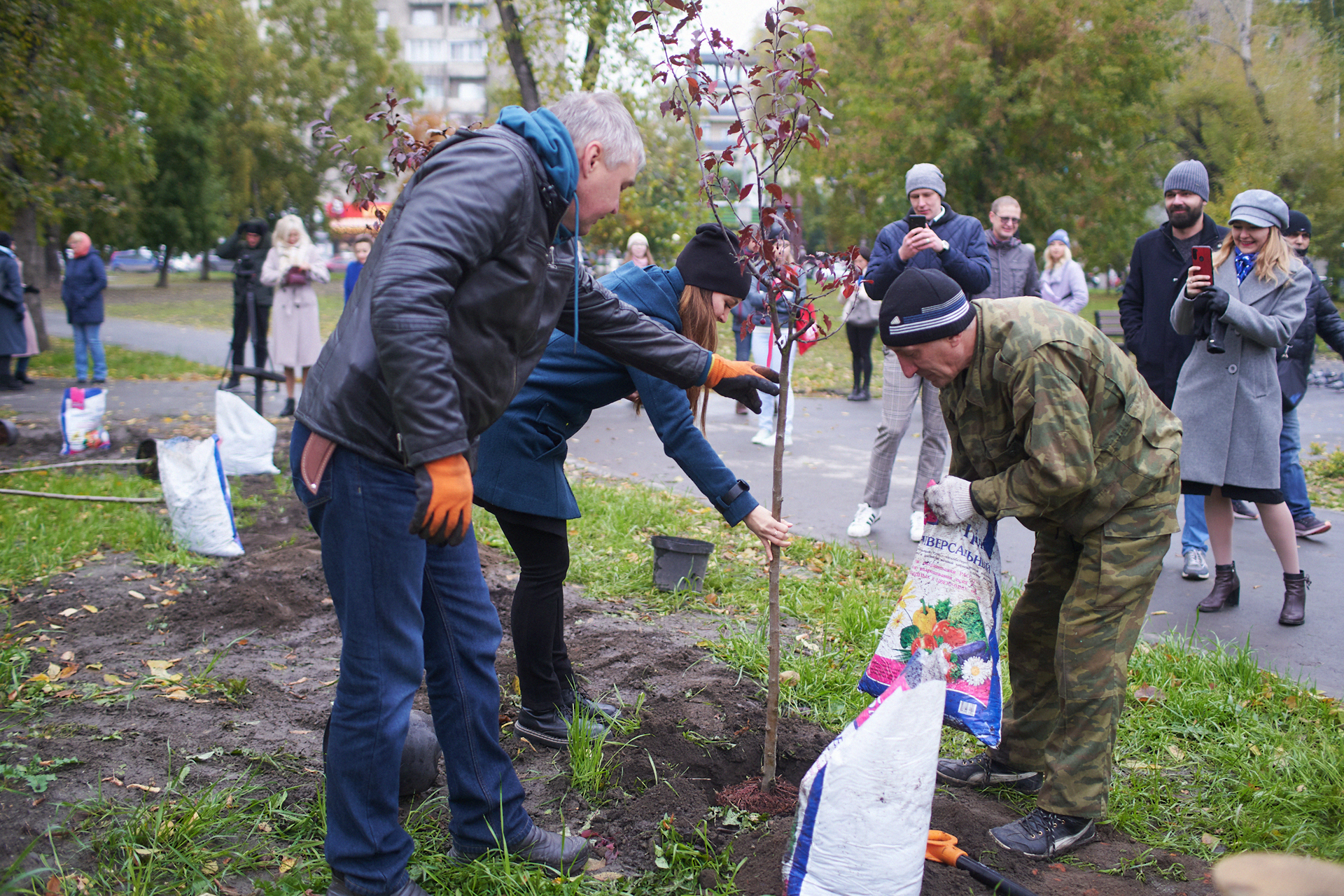 Деревья Новосибирска Фото