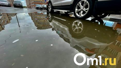 «Просто крик души». В Омске буксует процесс создания платных парковок