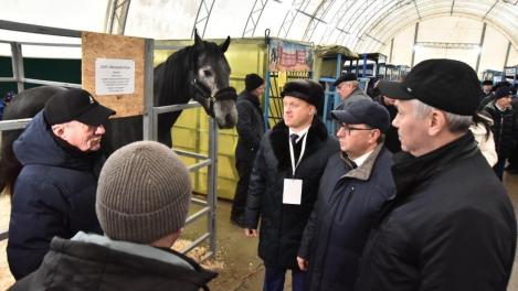 VI Агропродовольственный форум стартовал в Новосибирской области