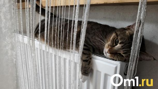 Массовые отключения тепла в 2023-м можно было предотвратить. Ответственного отдали под суд