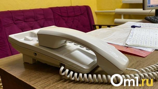 Омский полицейский спас девушку от «сотрудников ФСБ»