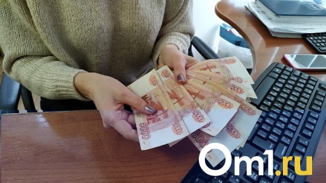 Эксперты рассказали о самой высокооплачиваемой сфере работы в Омске