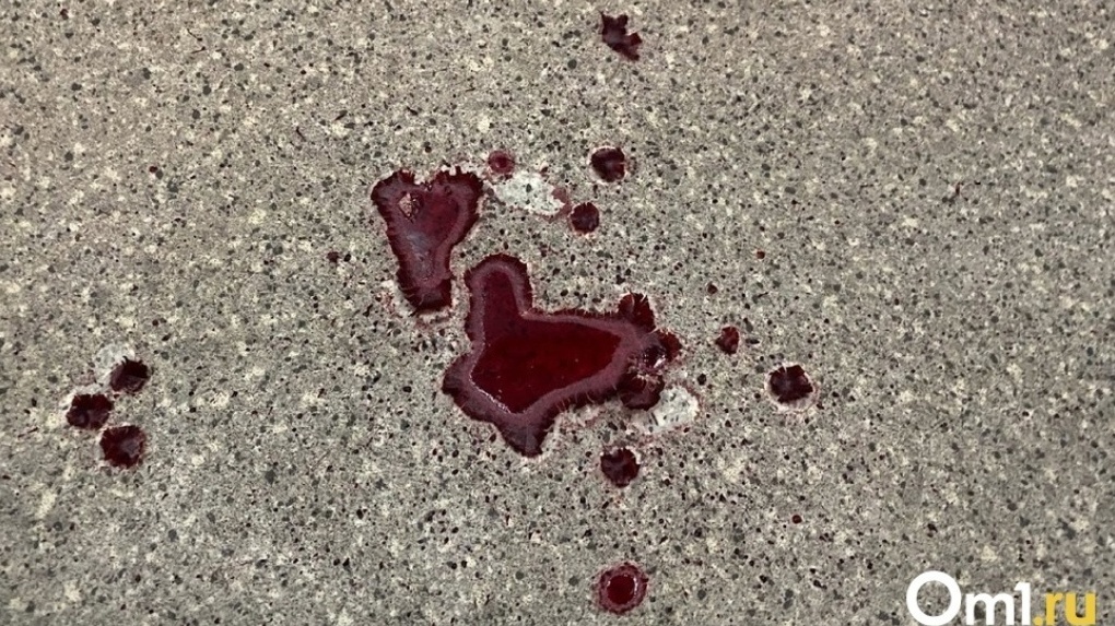 Нож в матке и лужи крови: зверские издевательства мужчин над двумя омичками шокировали россиян. Видео 18+