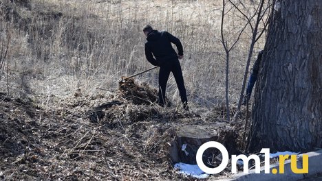 Первый субботник Омска прошёл не в самом грязном месте