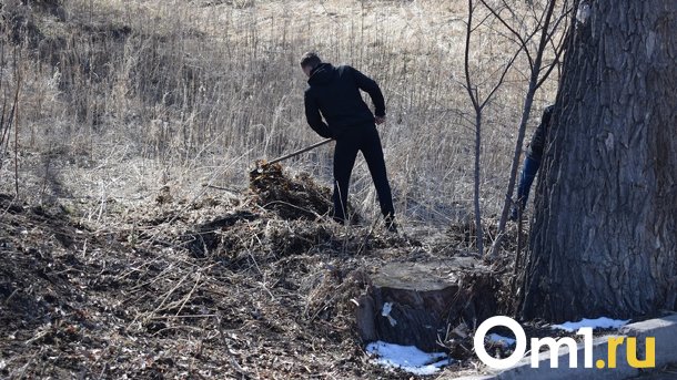 Первый субботник Омска прошёл не в самом грязном месте