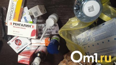 В Омске растёт число случаев гриппа A – врачи просят не заниматься самолечением