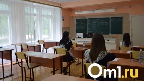 Станет ещё сложнее. В этом году омским школьникам усложнят задания по ЕГЭ