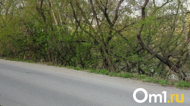 В Омске перекроют дорогу почти на полгода