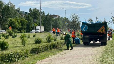 Мэрия начала бороться с травой с помощью железнодорожников
