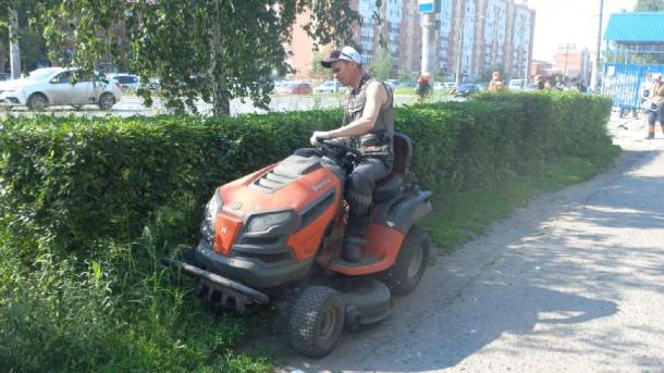 Сергей Шелест ищет омичей для борьбы с травой