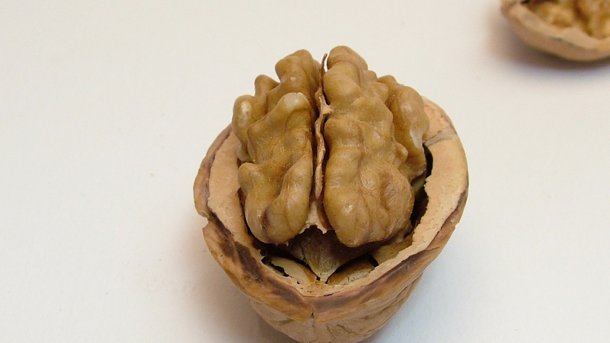 Греческий секрет долголетия: в борьбе с заболеваниями щитовидки поможет этот орешек