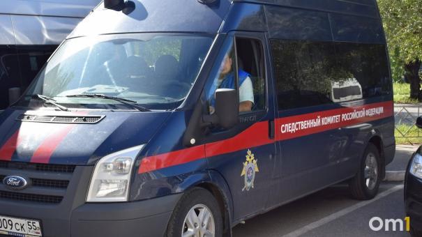 В Омской области возбудили ещё два уголовных дела из-за пожаров в начале мая