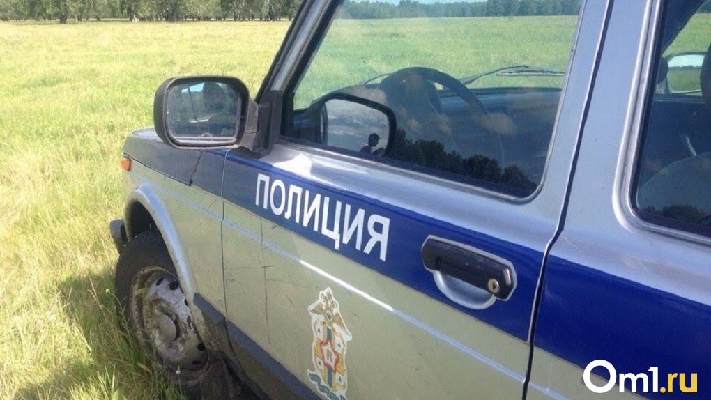 Был одет в синий комбинезон. Омские полицейские ищут без вести пропавшего молодого сельчанина