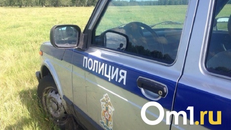 Был одет в синий комбинезон. Омские полицейские ищут без вести пропавшего молодого сельчанина