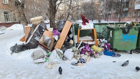 Новосибирцы пожаловались на работу коммунальщиков по вывозу мусора