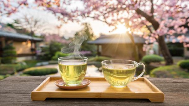 Зеленый чай сжигает 60 калорий в день: ученые раскрыли секрет сорта «би ло чунь»