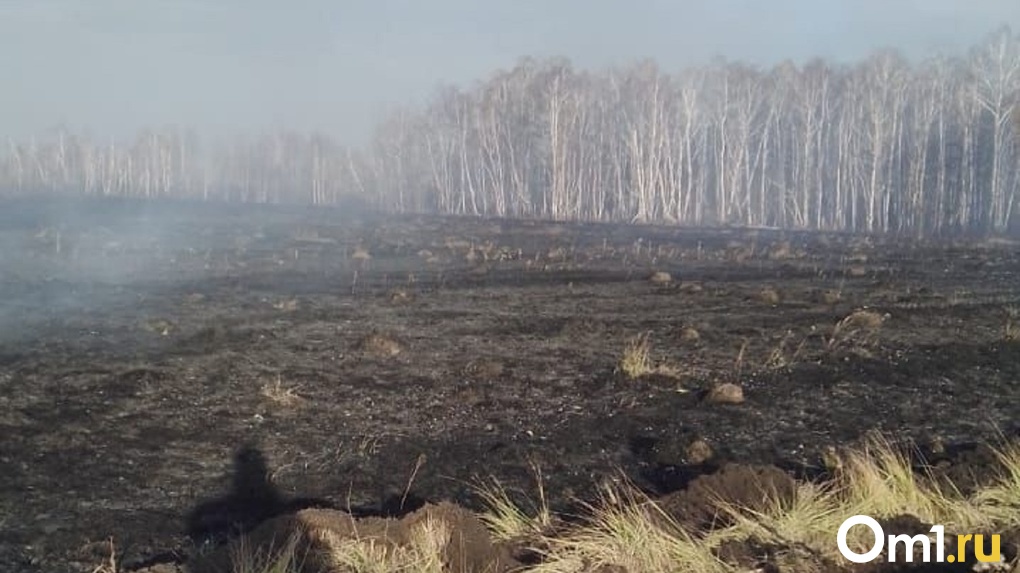 Пожароопасный сезон ещё не завершён. Под Омском произошло сразу три лесных пожара