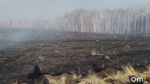 Пожароопасный сезон ещё не завершён. Под Омском произошло сразу три лесных пожара