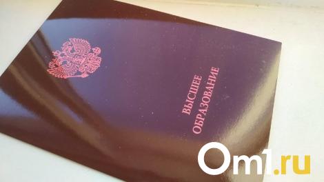 Омскую студентку отчислили из вуза за оригинальность диплома в 4 %