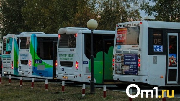 После презентации «Авангарда» на Соборной площади омичей повезут по домам автобусы