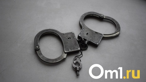 Наркотики на дому: омич за незаконный бизнес получил 10 лет колонии