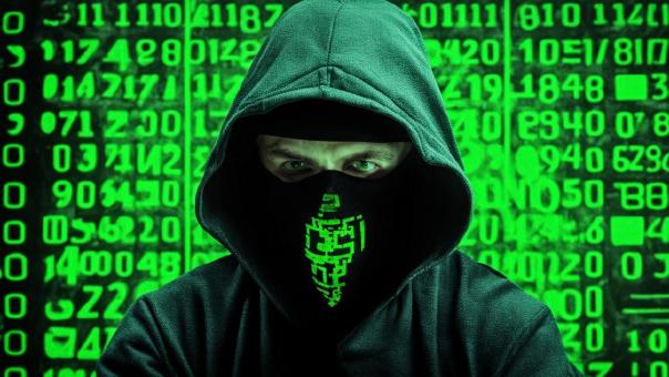 «Тотальный диктант» подвергся мощной атаке хакеров