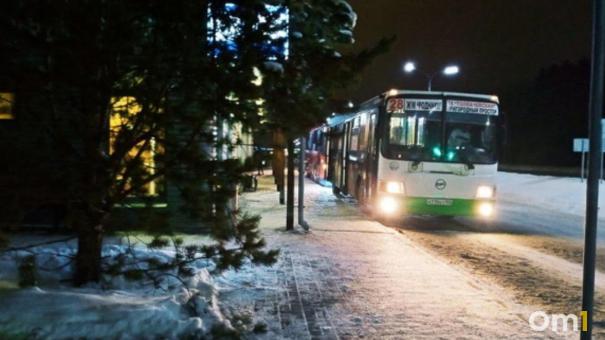 11 миллионов поездок совершили новосибирцы с помощью «СберТройки»