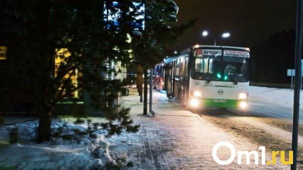 11 миллионов поездок совершили новосибирцы с помощью «СберТройки»