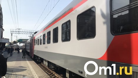 Омские следователи расследуют дело о сбитом пассажирским поездом ребёнке