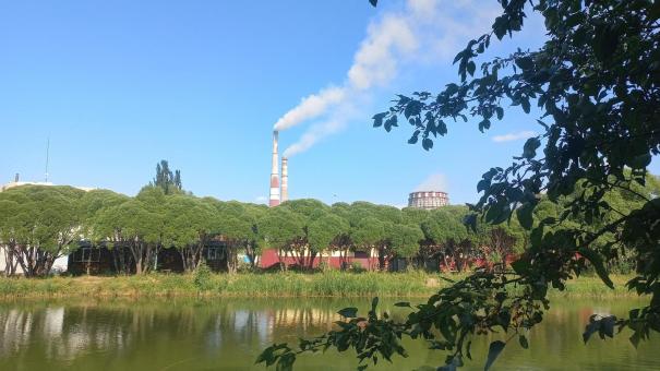 В районе Новосибирска уровень загрязнения воздуха аммиаком превысил норму