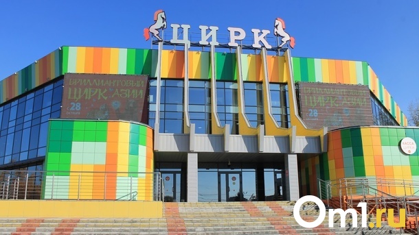 Стали известны причины падения воздушной гимнастки в омском цирке