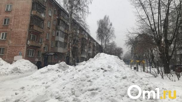 Омичи взялись за лопаты, чтобы освободить дорогу