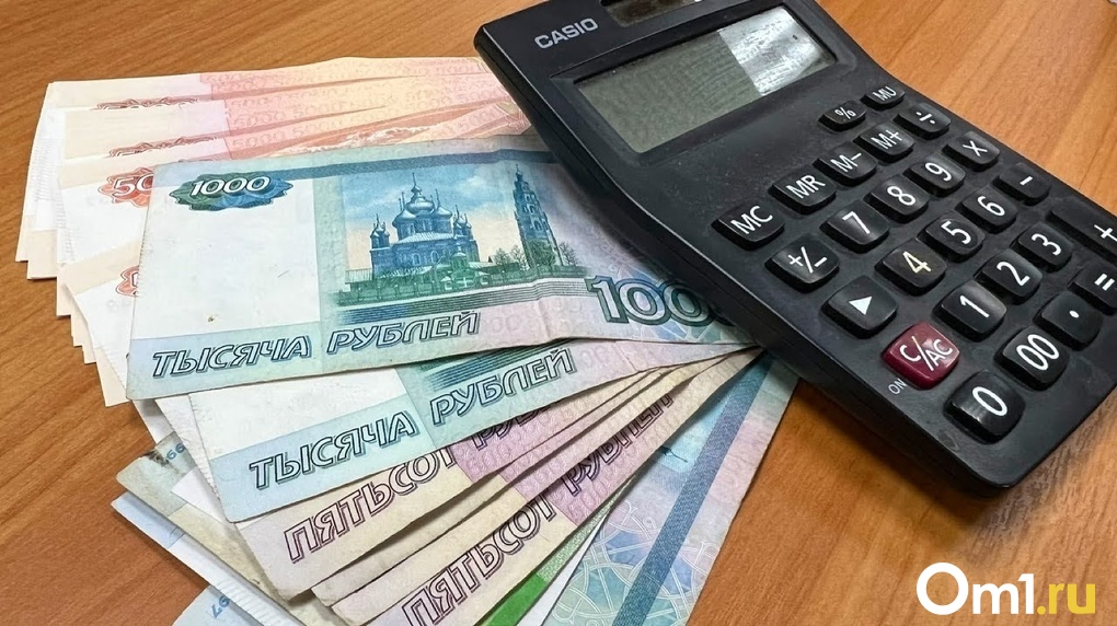 На маткапитале омская мошенница заработала 22 миллиона рублей