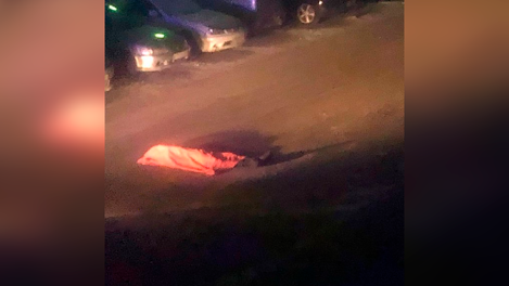 Выпал из окна на парковку? Загадочный труп обнаружили новосибирцы во дворе дома