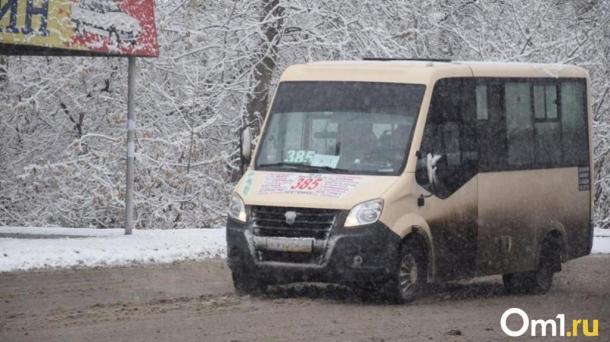 В омской забитой маршрутке распылили газовый баллончик