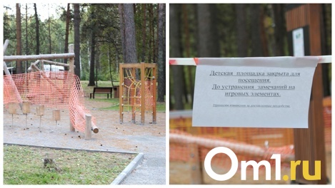 Заработают ли в Заельцовском парке детские площадки, рассказали новосибирцам