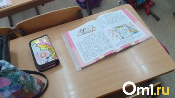 Ребёнок заразился педикулёзом: омичи пожаловались на свалку и грязь в классе